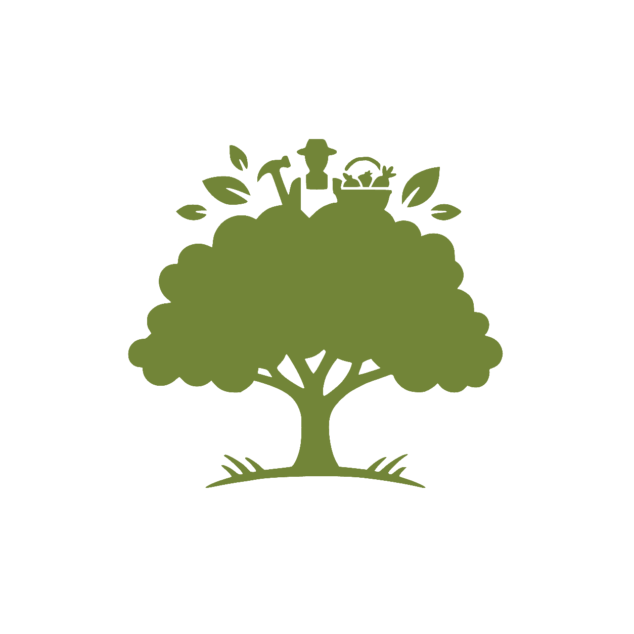 Arbol somterra